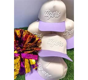Tigers Tonal 3d Embroidered Hat