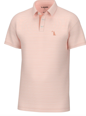 PALMS POLO