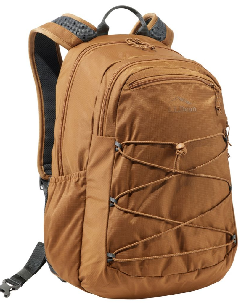 COMFORT CARRY LAPTOP PACK 30L