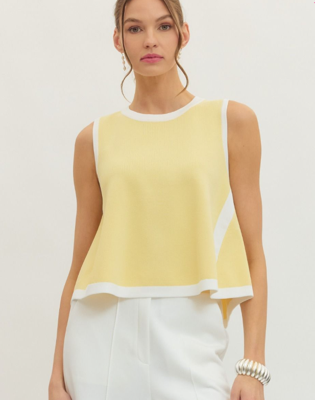 T30413-LEMON