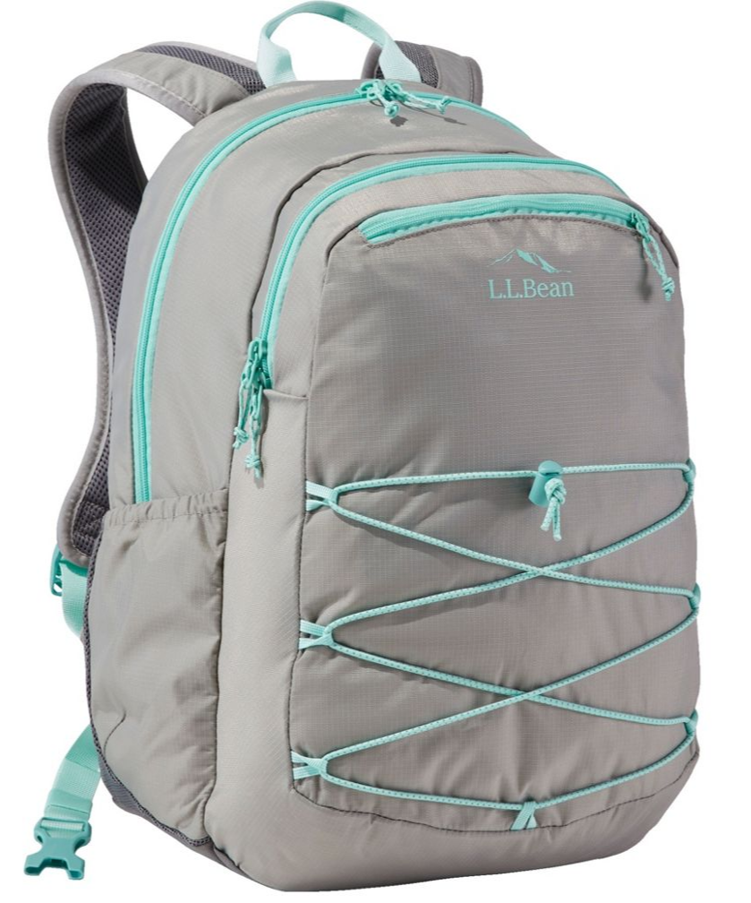 COMFORT CARRY LAPTOP PACK 30L