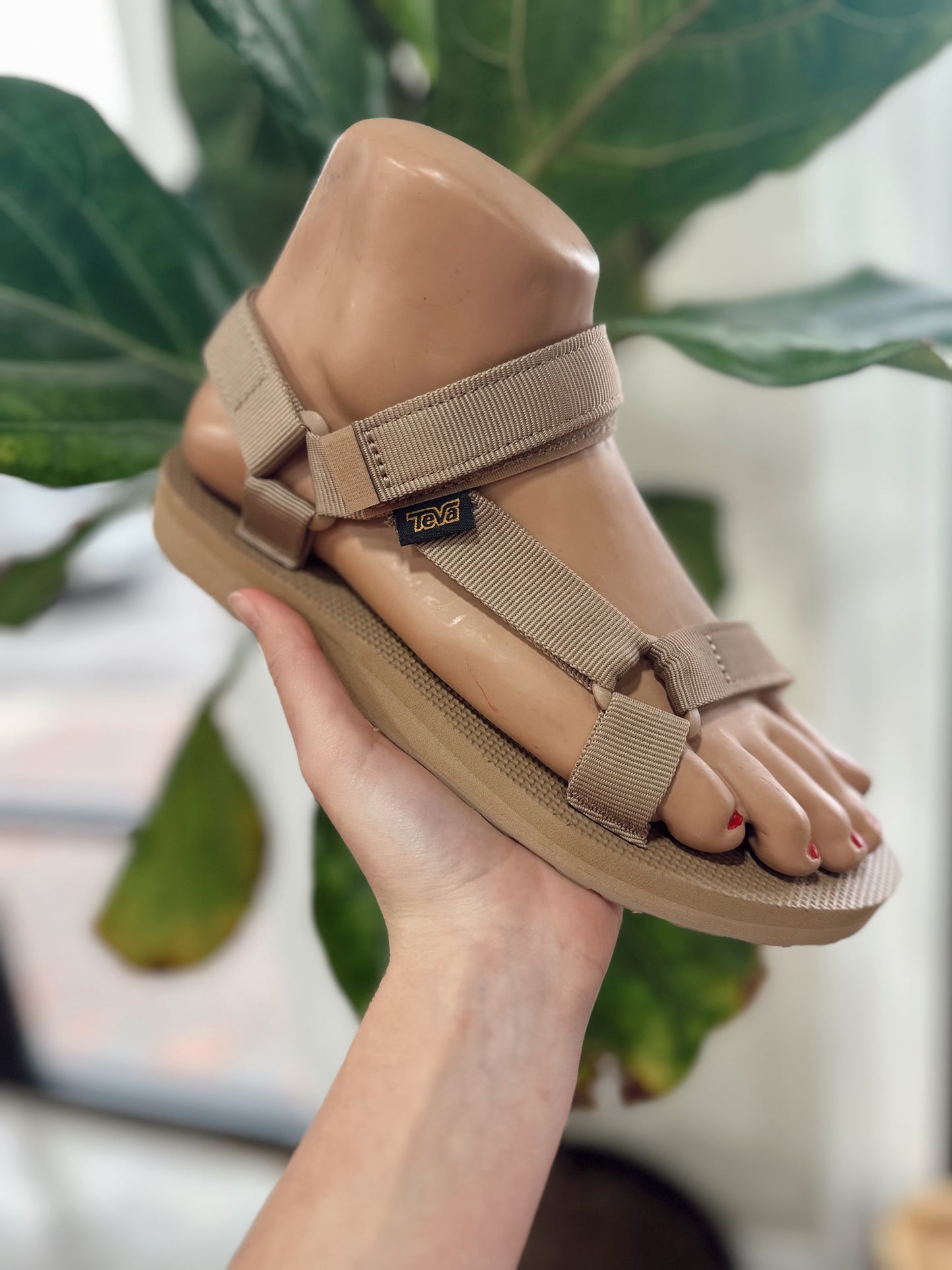 W MIDFORM UNIVERSAL CANVAS