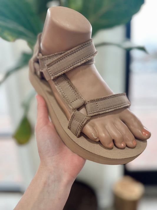 W MIDFORM UNIVERSAL CANVAS- TEY